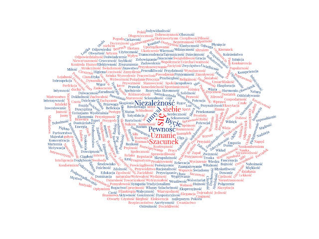 dream and create wartosci